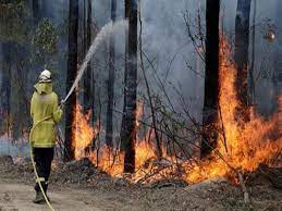 उत्तराखंड में इस बार जंगल की आग ज्यादा भड़क रही